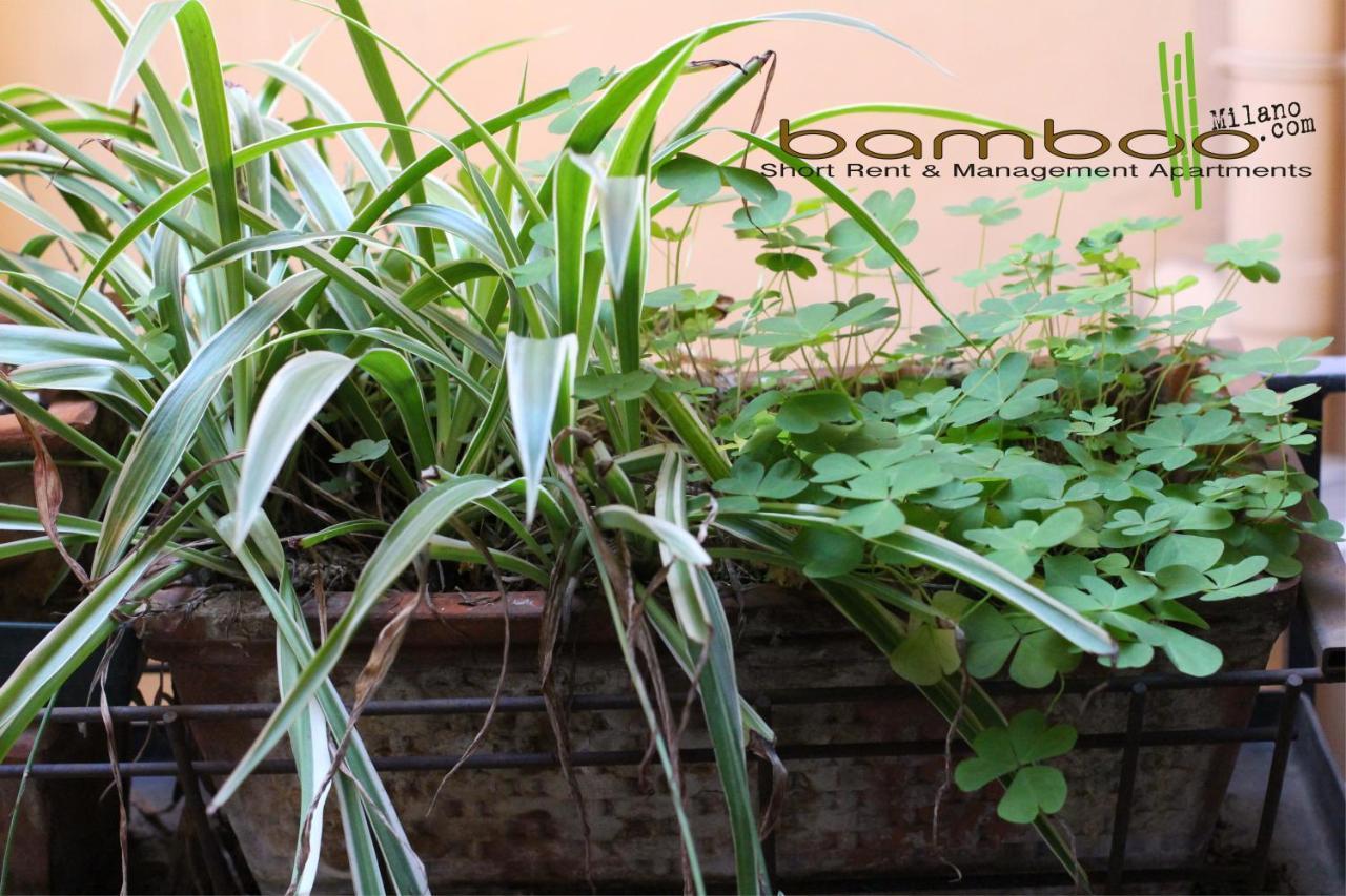 Bamboo Milano Brera Lejlighed Eksteriør billede